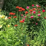 Gartenhaus Frieda Tatil Evi *