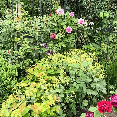 Gartenhaus Frieda Dom wakacyjny *