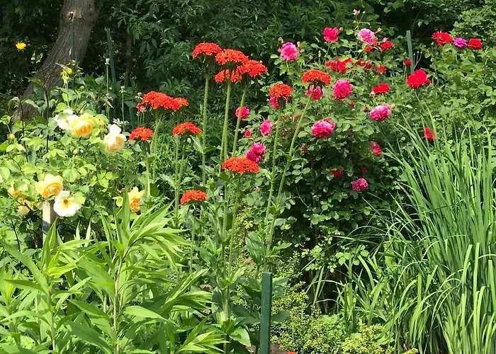 Gartenhaus Frieda Semesterbostad *