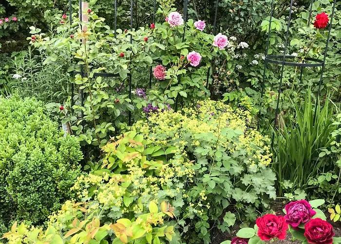 Gartenhaus Frieda בית נופש *